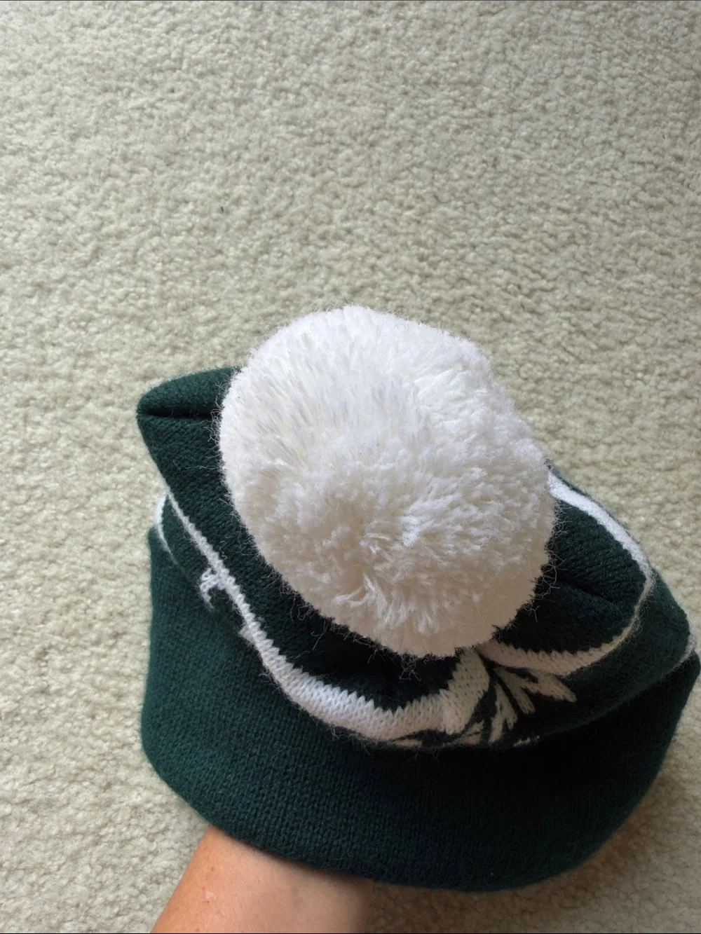 Michigan State Winter Hat